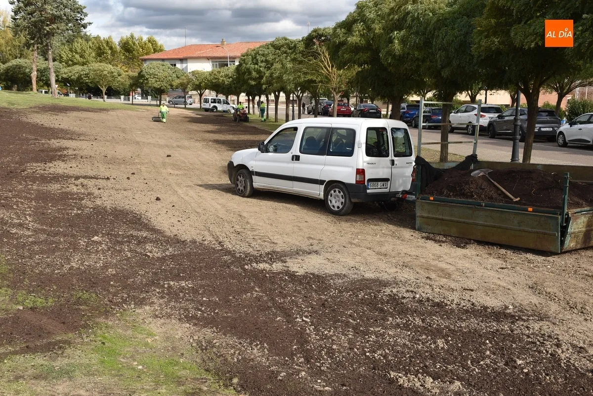 Foto 2 - El Ayuntamiento intenta darle verdor a la zona alta de los Pinos sembrando c&eacute;sped