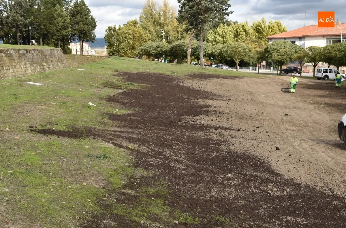 Foto 3 - El Ayuntamiento intenta darle verdor a la zona alta de los Pinos sembrando c&eacute;sped
