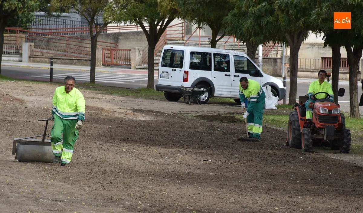 Foto 4 - El Ayuntamiento intenta darle verdor a la zona alta de los Pinos sembrando c&eacute;sped