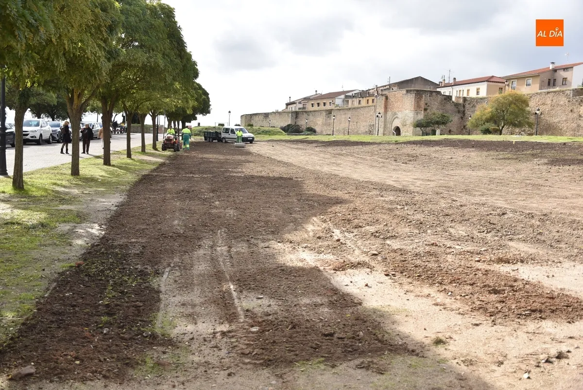Foto 6 - El Ayuntamiento intenta darle verdor a la zona alta de los Pinos sembrando c&eacute;sped