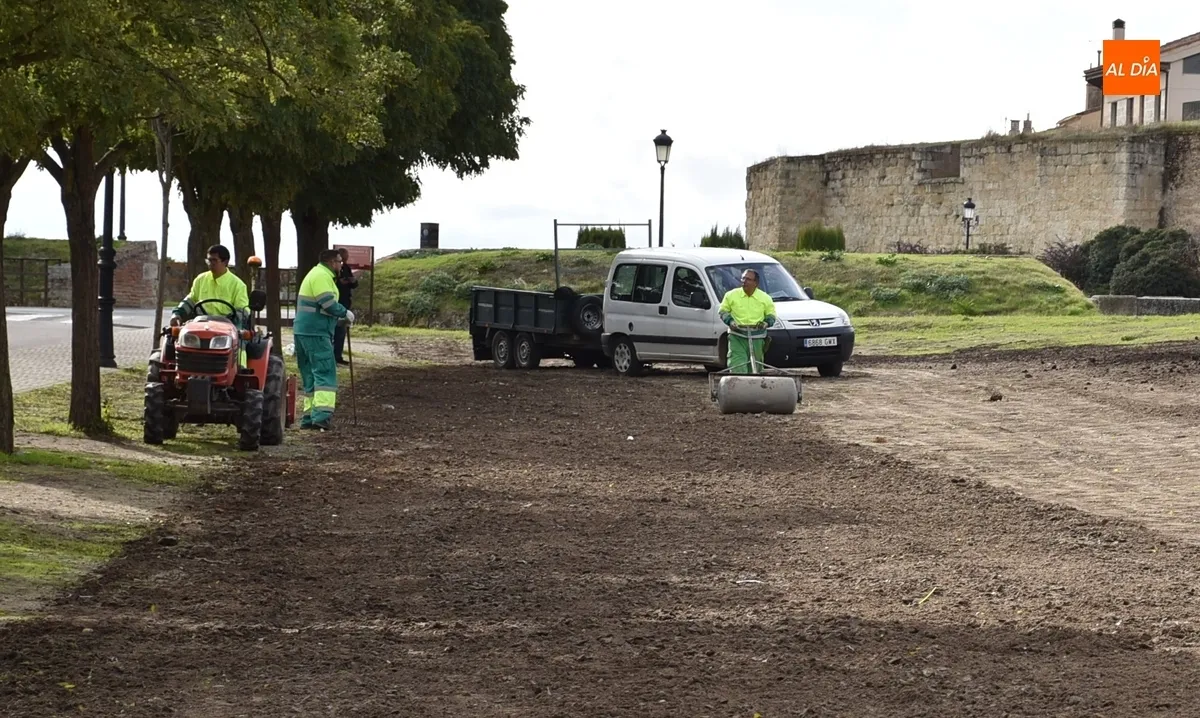Foto 7 - El Ayuntamiento intenta darle verdor a la zona alta de los Pinos sembrando c&eacute;sped