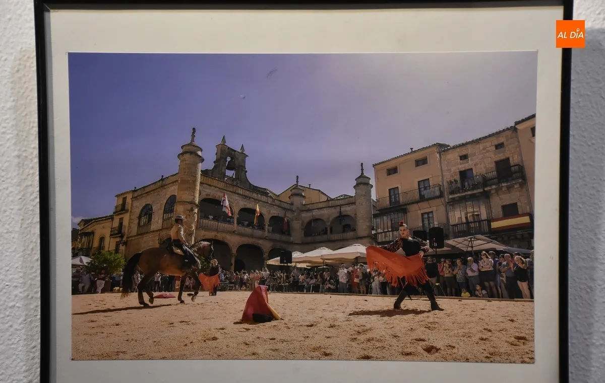 Foto 2 - Recibidas 12 im&aacute;genes para el Concurso de Fotograf&iacute;a de la Feria del Caballo