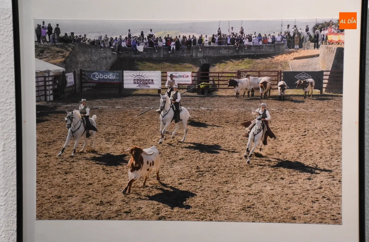 Foto 3 - Recibidas 12 im&aacute;genes para el Concurso de Fotograf&iacute;a de la Feria del Caballo