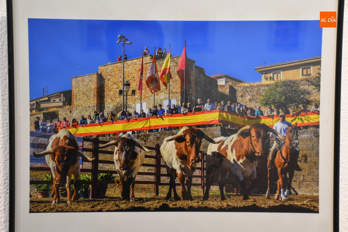 Recibidas 12 imágenes para el Concurso de Fotografía de la Feria del Caballo