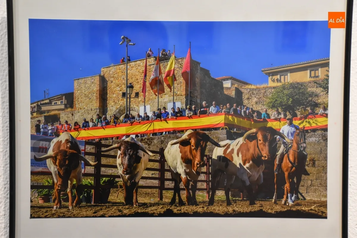 Foto 3 - Juan Jos&eacute; S&aacute;nchez se adjudica el Concurso de Fotograf&iacute;a de la Feria del Caballo 2025