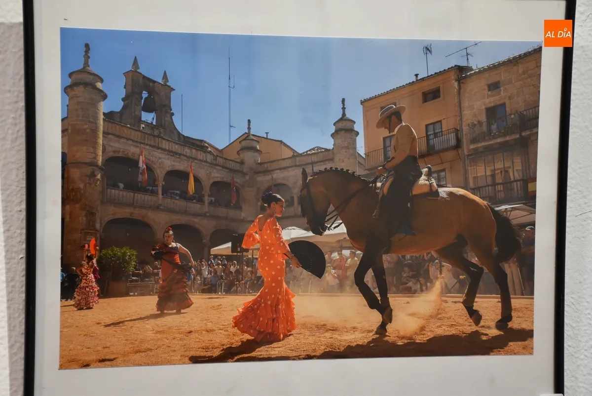 Foto 4 - Recibidas 12 im&aacute;genes para el Concurso de Fotograf&iacute;a de la Feria del Caballo