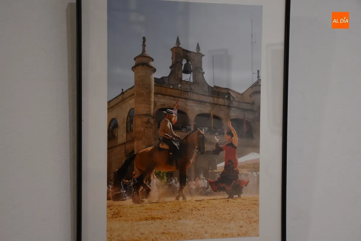 Foto 9 - Recibidas 12 im&aacute;genes para el Concurso de Fotograf&iacute;a de la Feria del Caballo