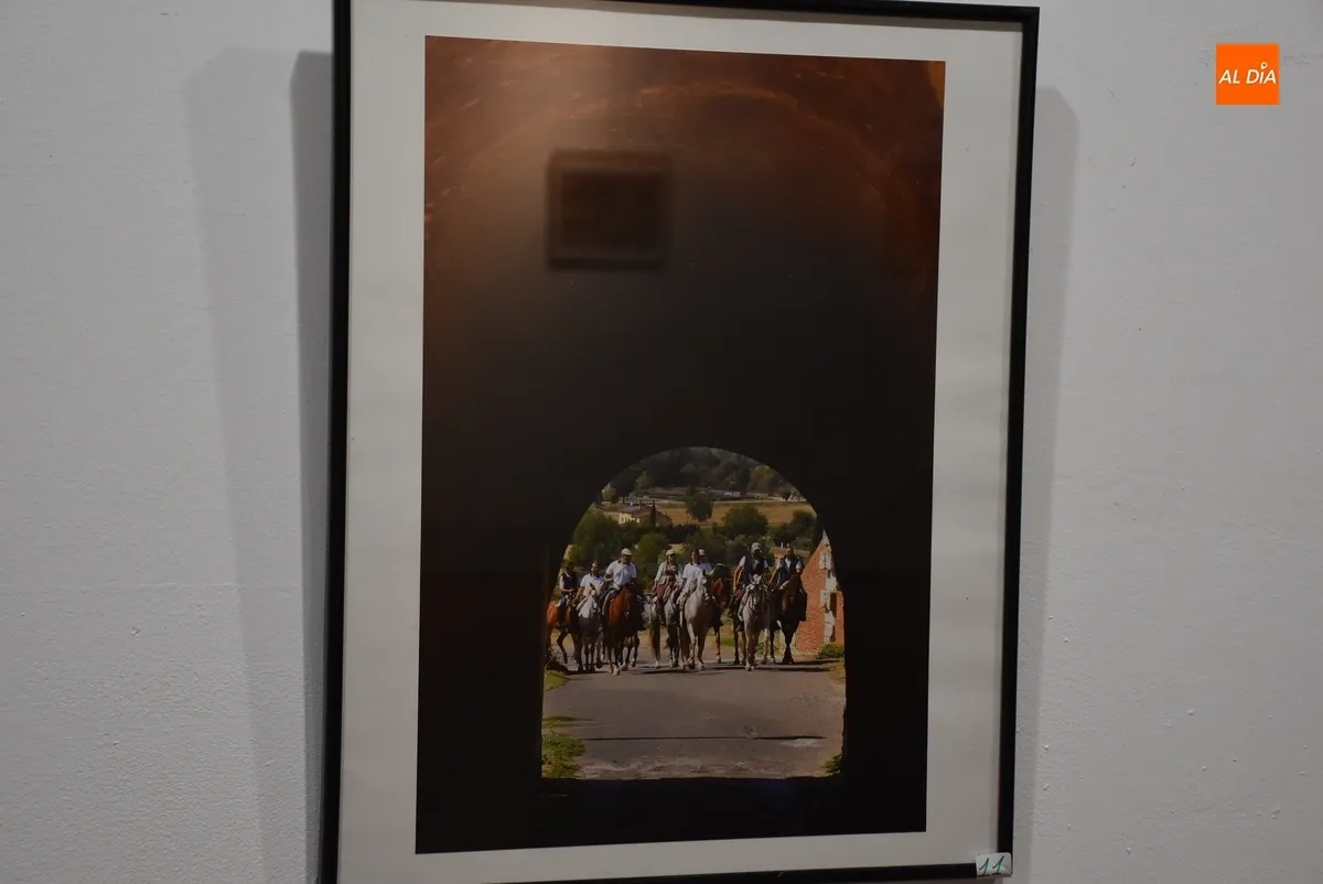 Foto 11 - Recibidas 12 im&aacute;genes para el Concurso de Fotograf&iacute;a de la Feria del Caballo