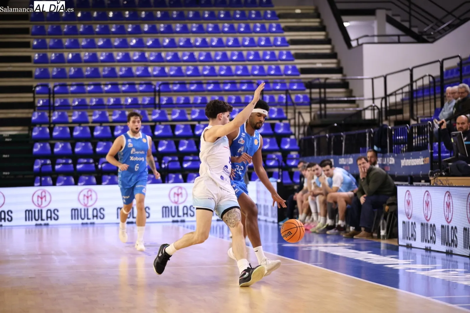 Foto 10 - FOTOS | &Aacute;lex Bellido debuta con el Perfumer&iacute;as Avenida Xoborg con una enorme victoria ante el Bosco (109-65)