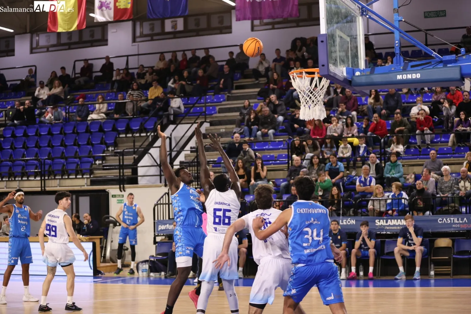 Foto 3 - FOTOS | &Aacute;lex Bellido debuta con el Perfumer&iacute;as Avenida Xoborg con una enorme victoria ante el Bosco (109-65)