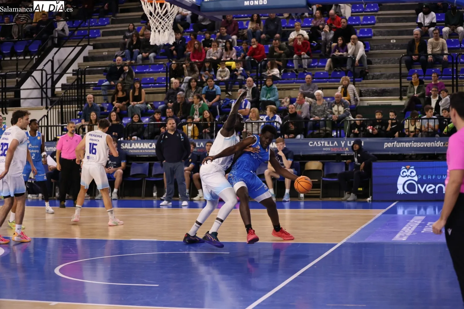 Foto 2 - FOTOS | &Aacute;lex Bellido debuta con el Perfumer&iacute;as Avenida Xoborg con una enorme victoria ante el Bosco (109-65)