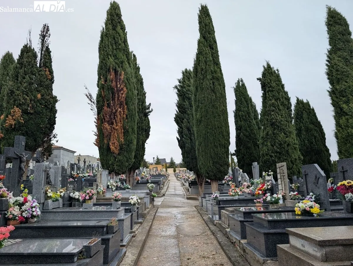 Día de Todos los Santos en el cementerio de Salamanca | Fotos: David Sañudo