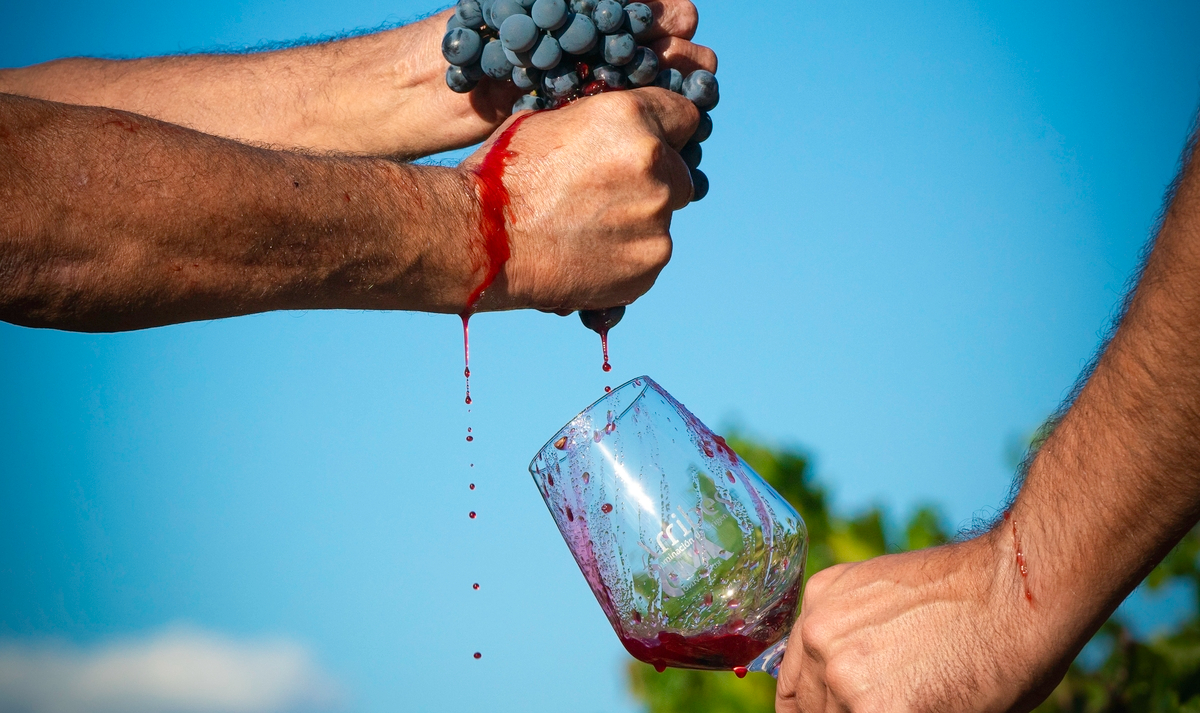 Vinos de Arribes y Salamanca en la Guía Gourmets 2026