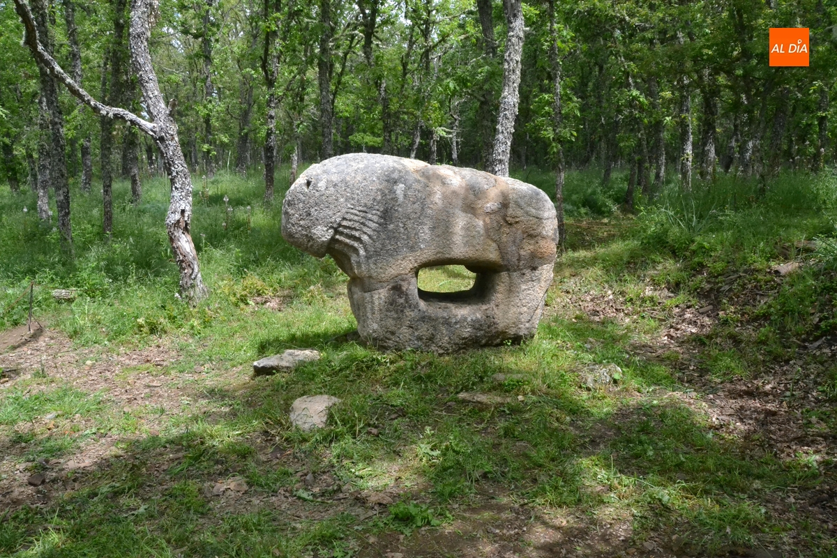 Organizada una marcha desde Campillo de Azaba hasta Irueña