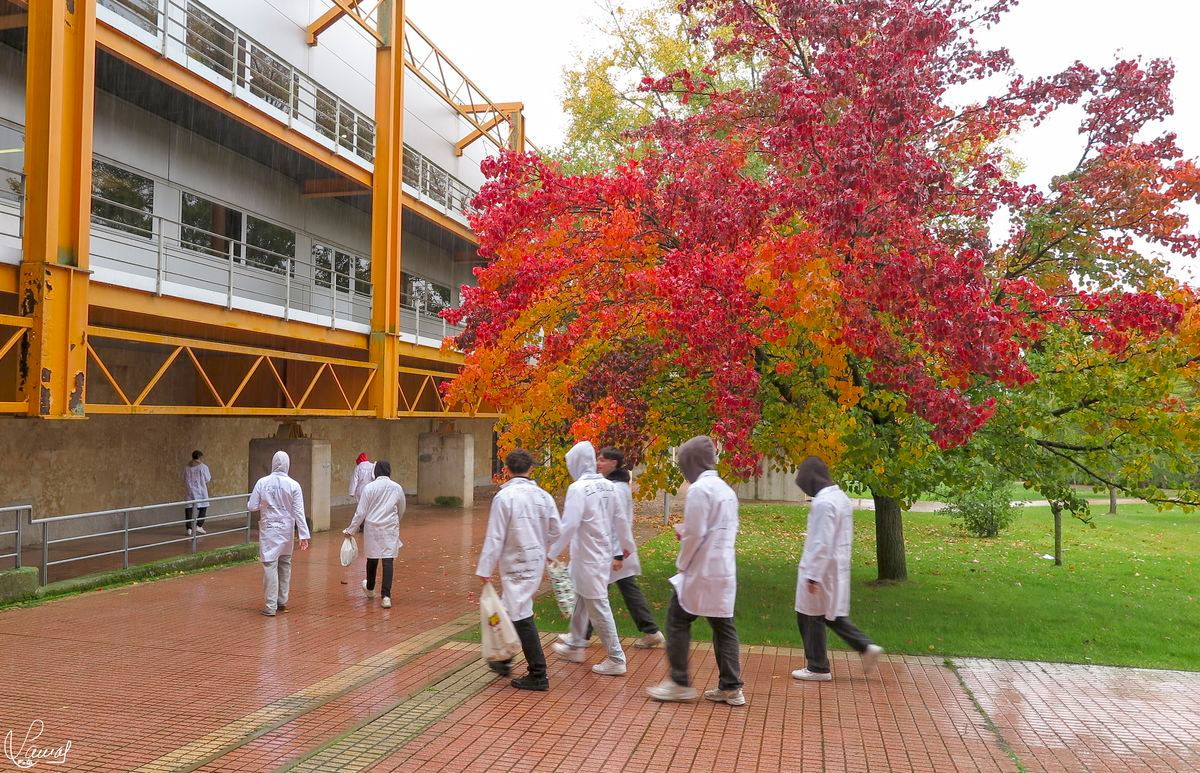 Campus Unamuno, Salamanca