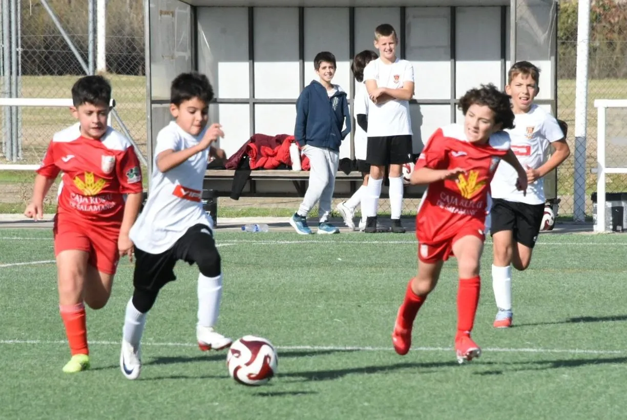 Foto 5 - El Alev&iacute;n B del Ciudad Rodrigo suma su primera victoria de la temporada