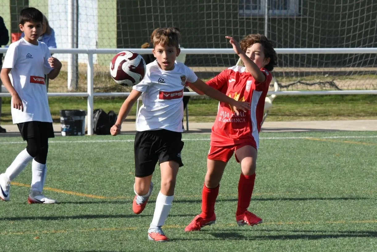 Foto 6 - El Alev&iacute;n B del Ciudad Rodrigo suma su primera victoria de la temporada