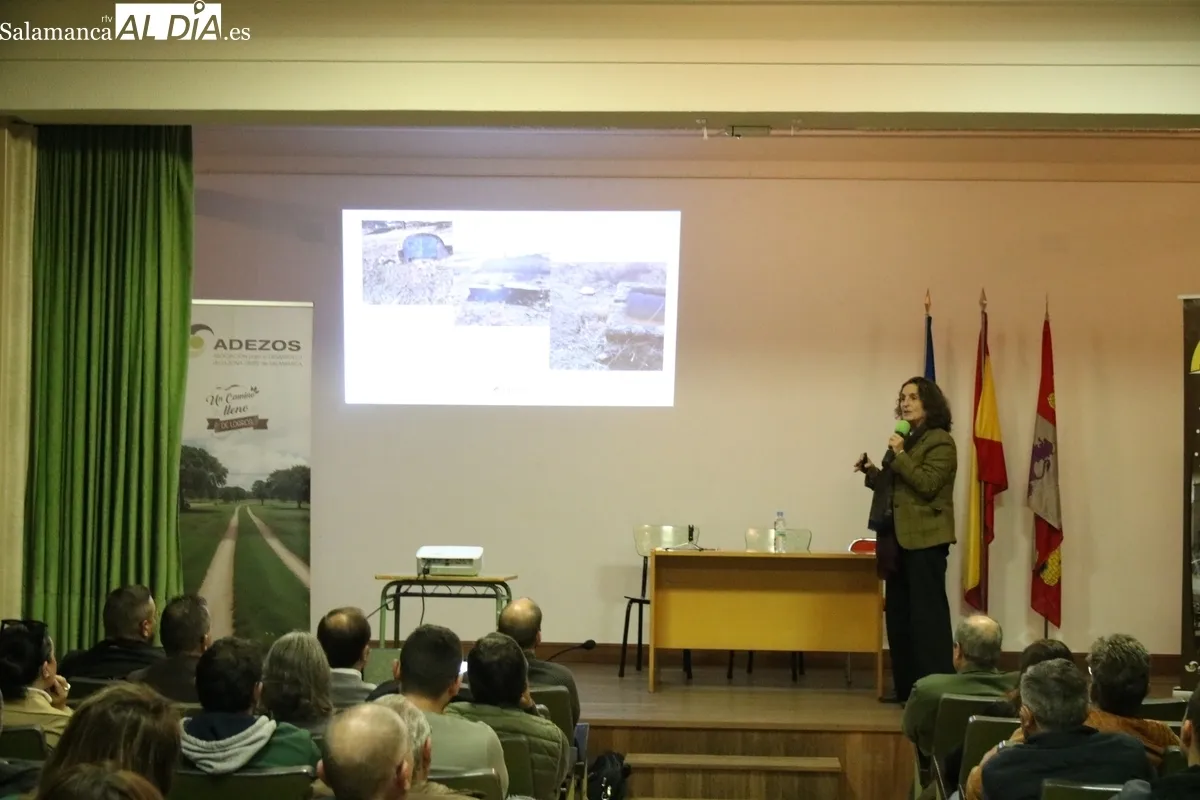 Jornada 'Dehesas con futuro' celebrada este viernes en Villavieja de Yeltes / CORRAL