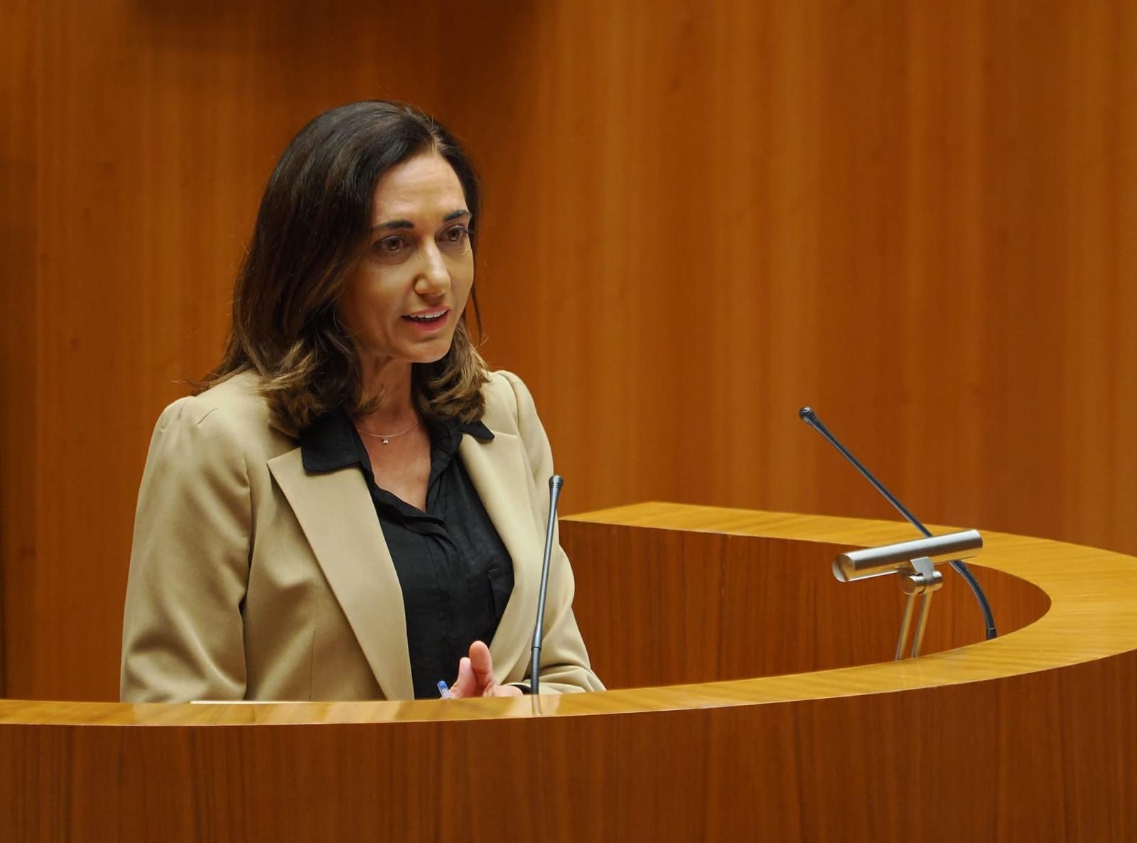 UPL denuncia 100.000 hogares sin internet de calidad en la Región Leonesa