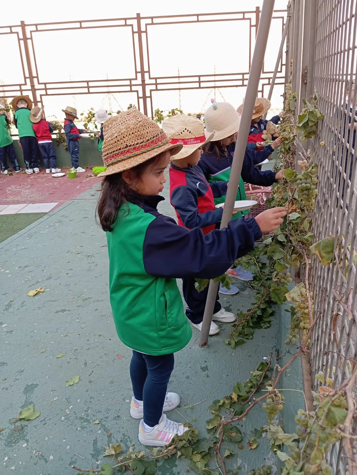 Foto 6 - Los alumnos de Infantil del Colegio Misioneras de la Providencia celebran la Fiesta de la Vendimia