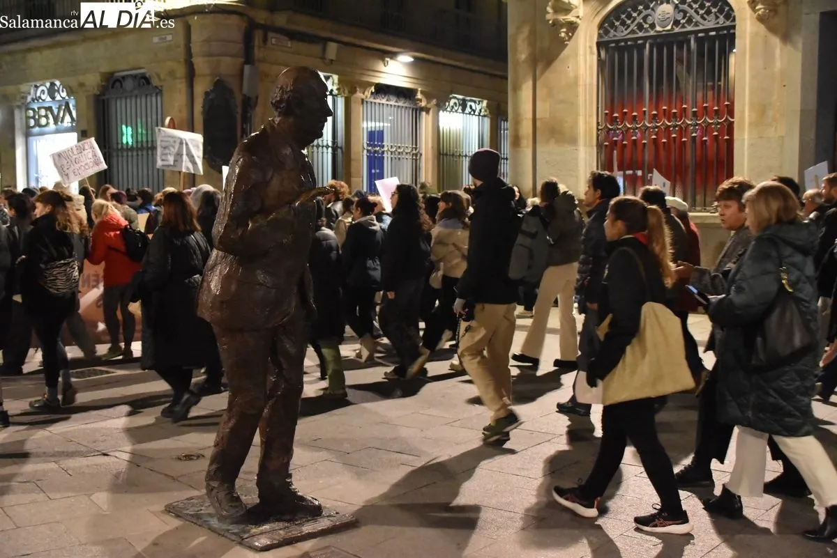 Manifestación del 25N convocada por el Movimiento Feminista de Salamanca. Fotos: Toni Sánchez