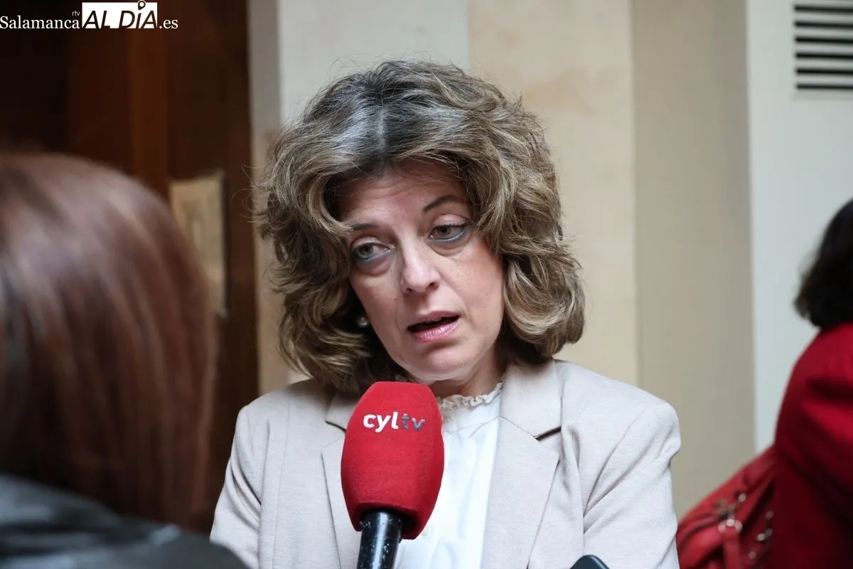 La Asociación de Ayuda a la Mujer “Plaza Mayor” ha organizado en Salamanca la 1ª Jornada sobre Violencia Sexual: reconocer, actuar y prevenir. Foto de David Sañudo