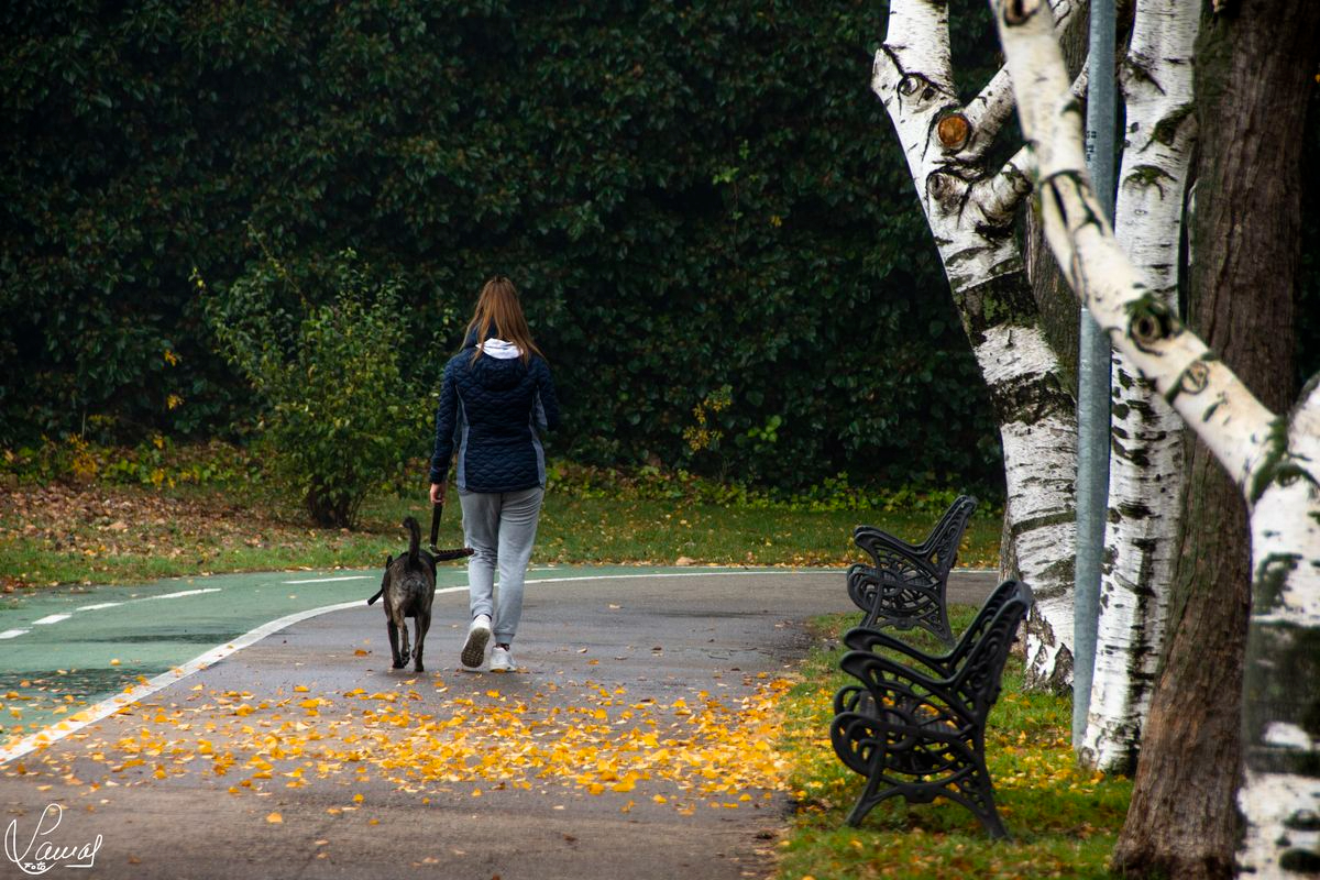 Parque de los Jesuitas