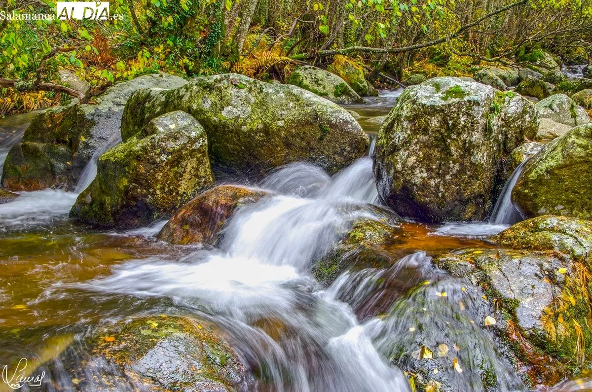 El otoño en Salamanca. Foto de Manuel Lamas