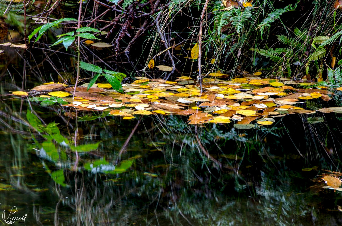 Candelario, ruta de Puente Nueva