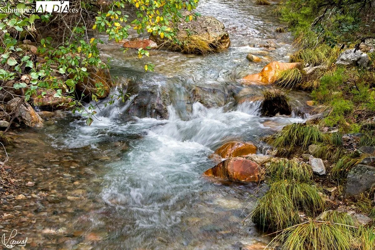 El otoño en Salamanca. Foto de Manuel Lamas