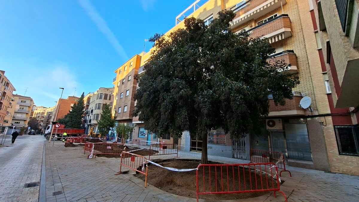 Reforma calle Gütenberg Salamanca: nuevos jardines y bancos