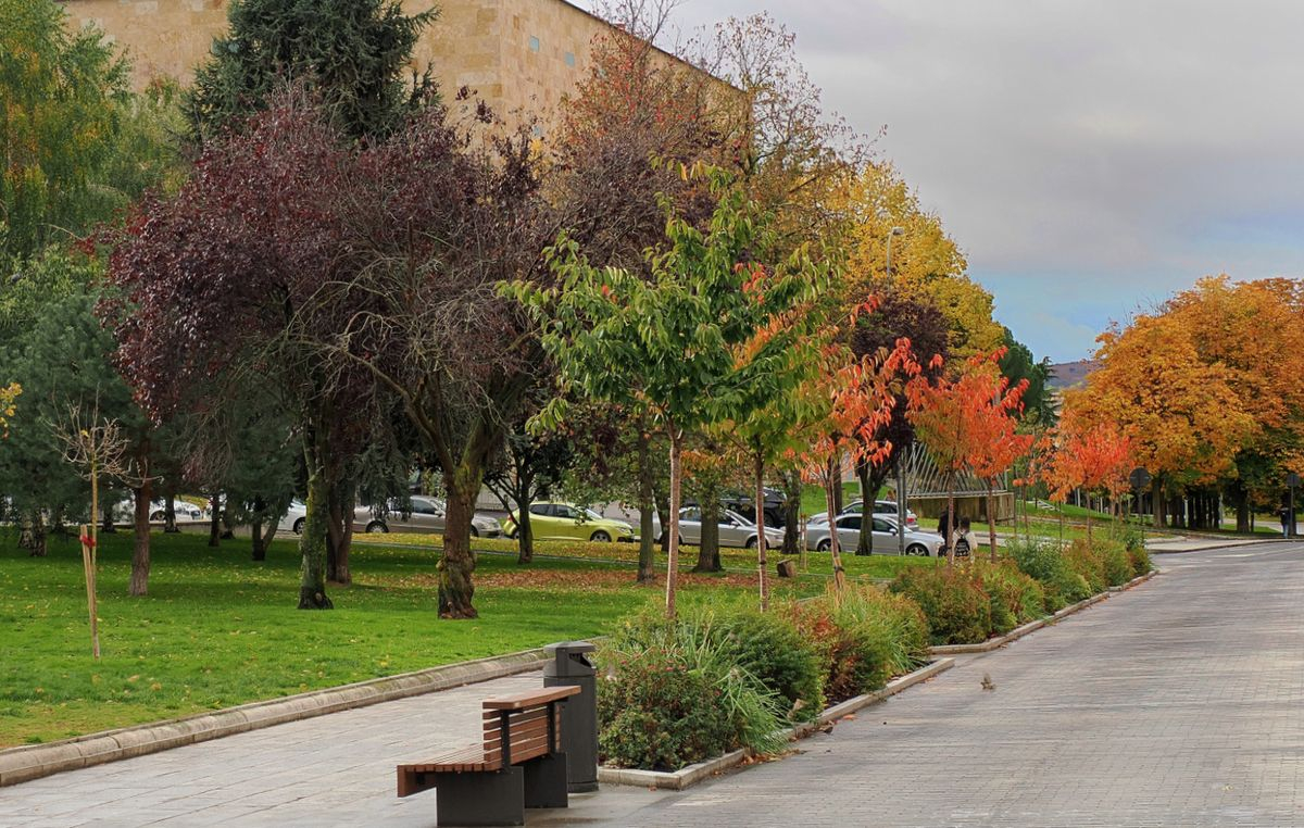 Calle Vaguada de la Palma