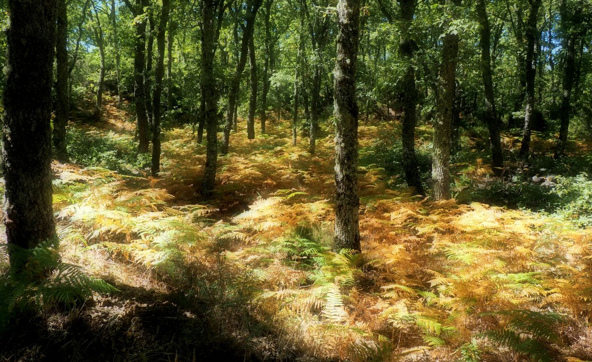 El Cabaco, Salamanca