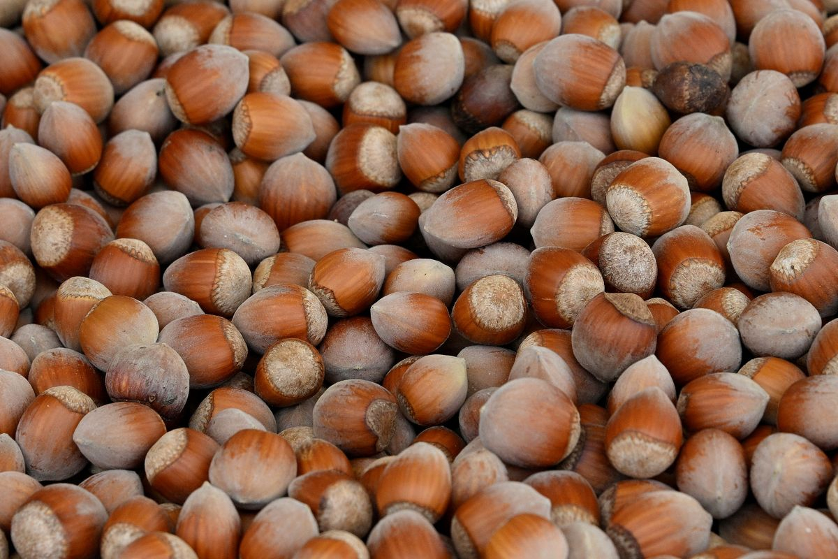 La Alberca, salamanca