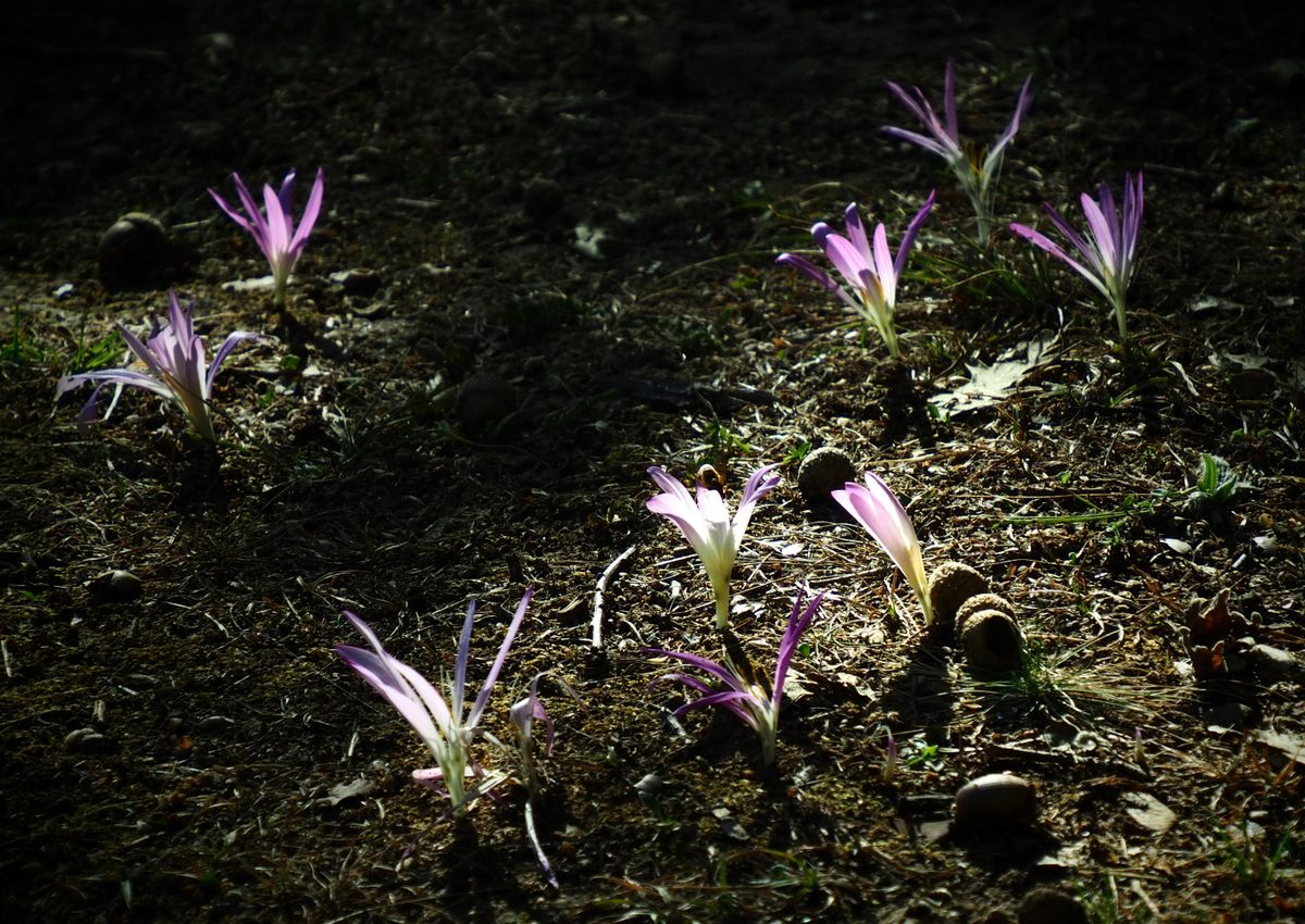 Foto de Carlos Santiago tomada en Vecinos, Salamanca