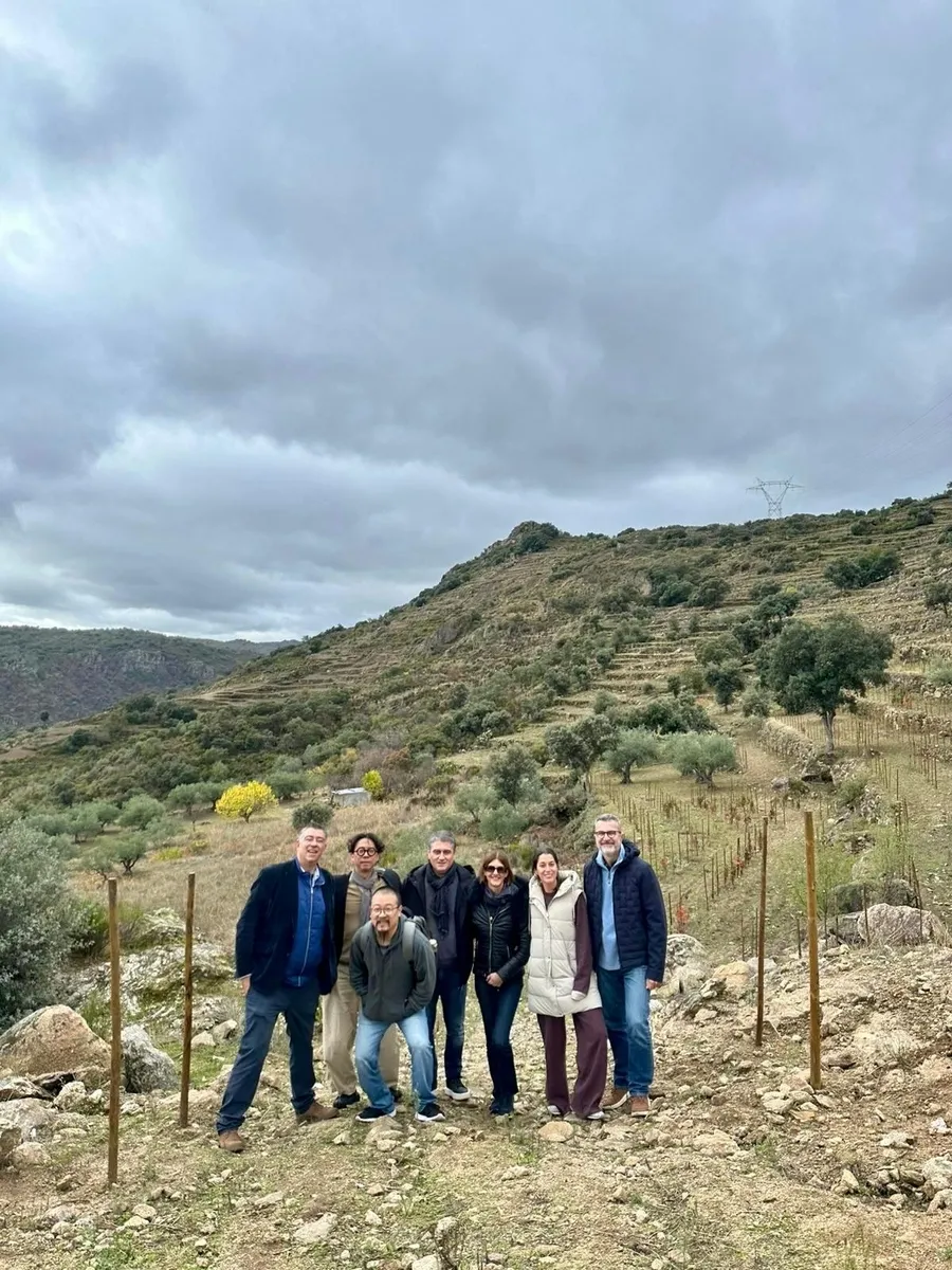 Viñedo de Arribes en bancales