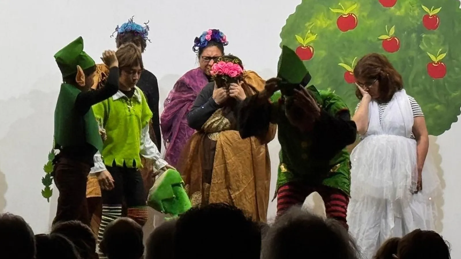 Actuación del grupo de teatro inclusive de Asprodes Vitigudino, en Villavieja