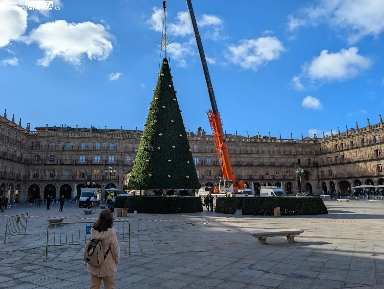 Ya hay árbol de Navidad en la Plaza Mayor de Salamanca | FOTOS: David Sañudo 