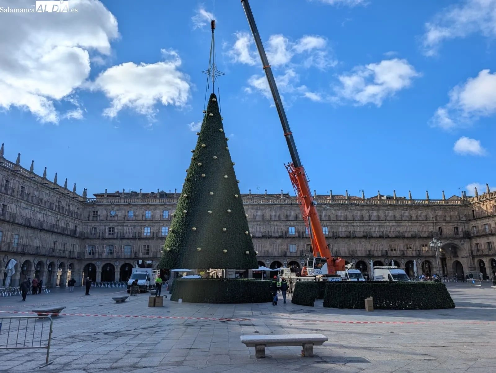 Ya hay árbol de Navidad en la Plaza Mayor de Salamanca | FOTOS: David Sañudo 