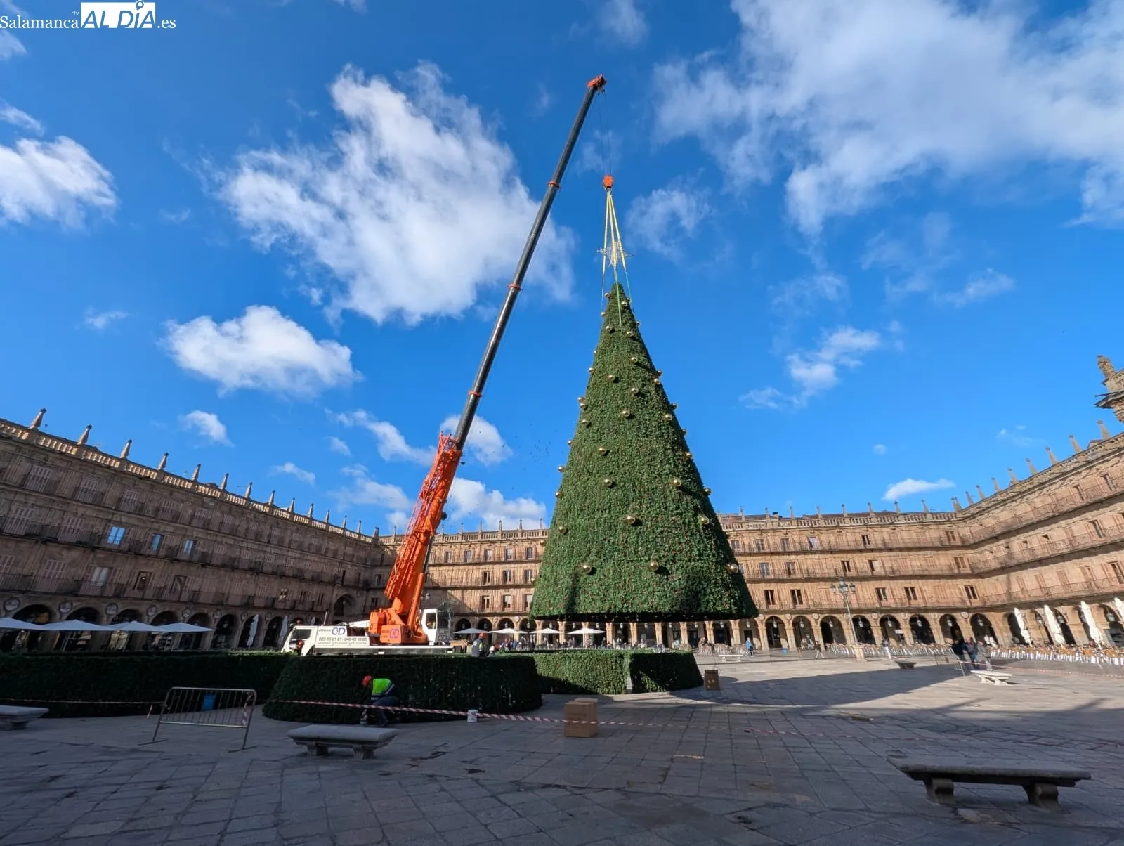 Ya hay árbol de Navidad en la Plaza Mayor de Salamanca | FOTOS: David Sañudo 