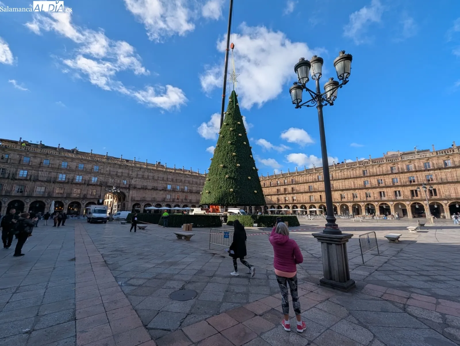 Ya hay árbol de Navidad en la Plaza Mayor de Salamanca | FOTOS: David Sañudo 
