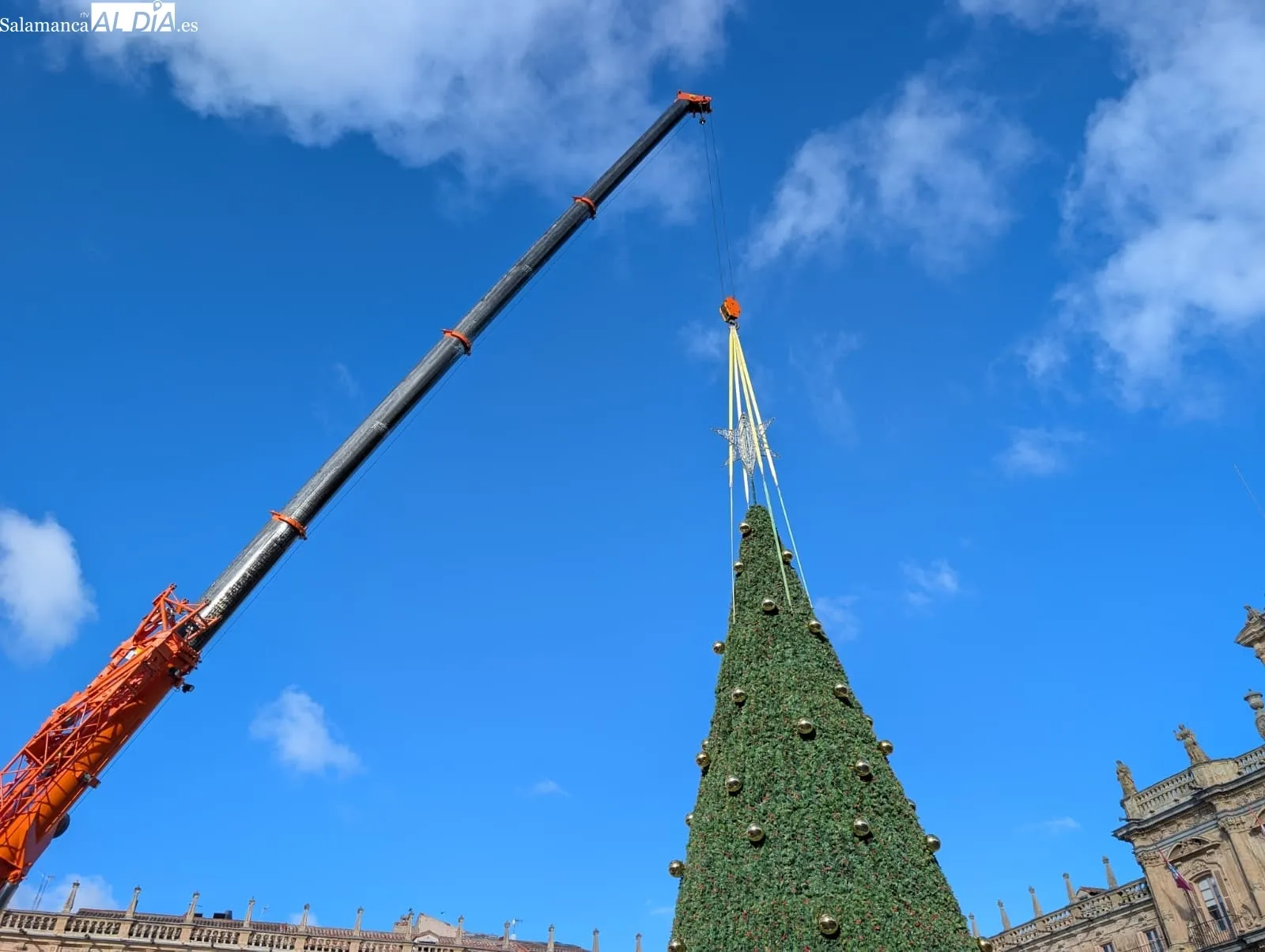 Ya hay árbol de Navidad en la Plaza Mayor de Salamanca | FOTOS: David Sañudo 