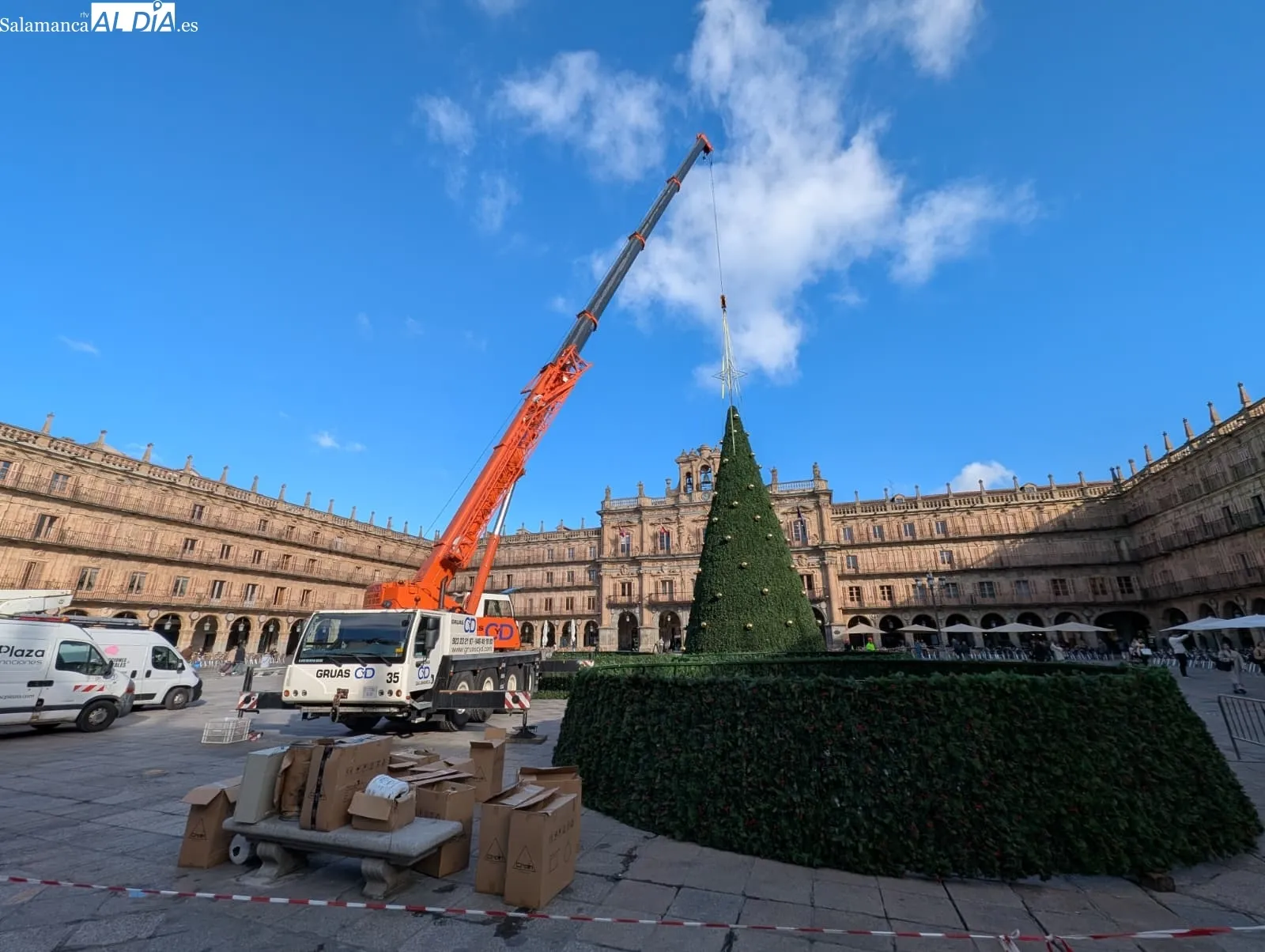 Ya hay árbol de Navidad en la Plaza Mayor de Salamanca | FOTOS: David Sañudo 