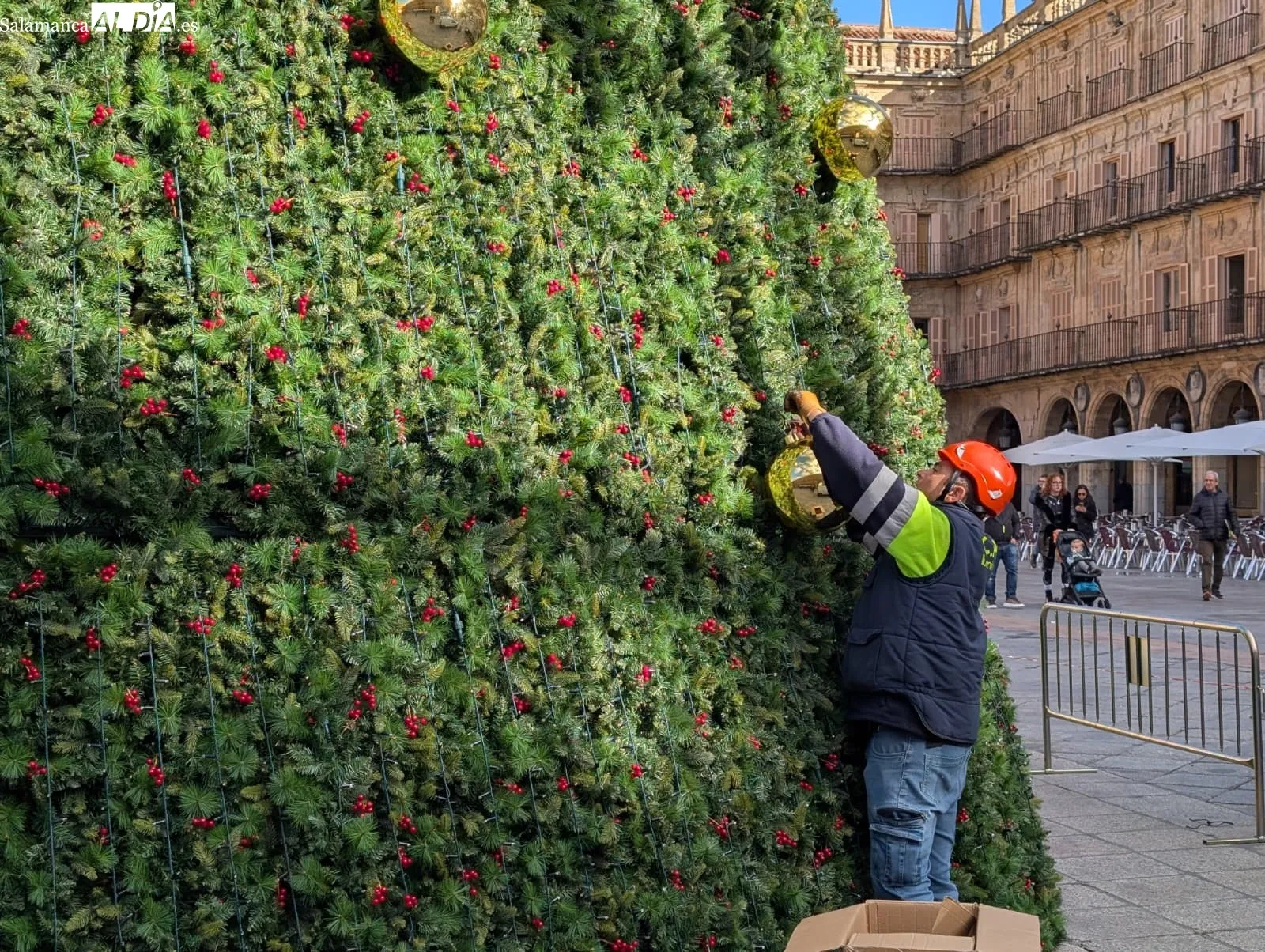 Foto 2 - V&Iacute;DEO Y FOTOS | Ya hay &aacute;rbol de Navidad en la Plaza Mayor de Salamanca 