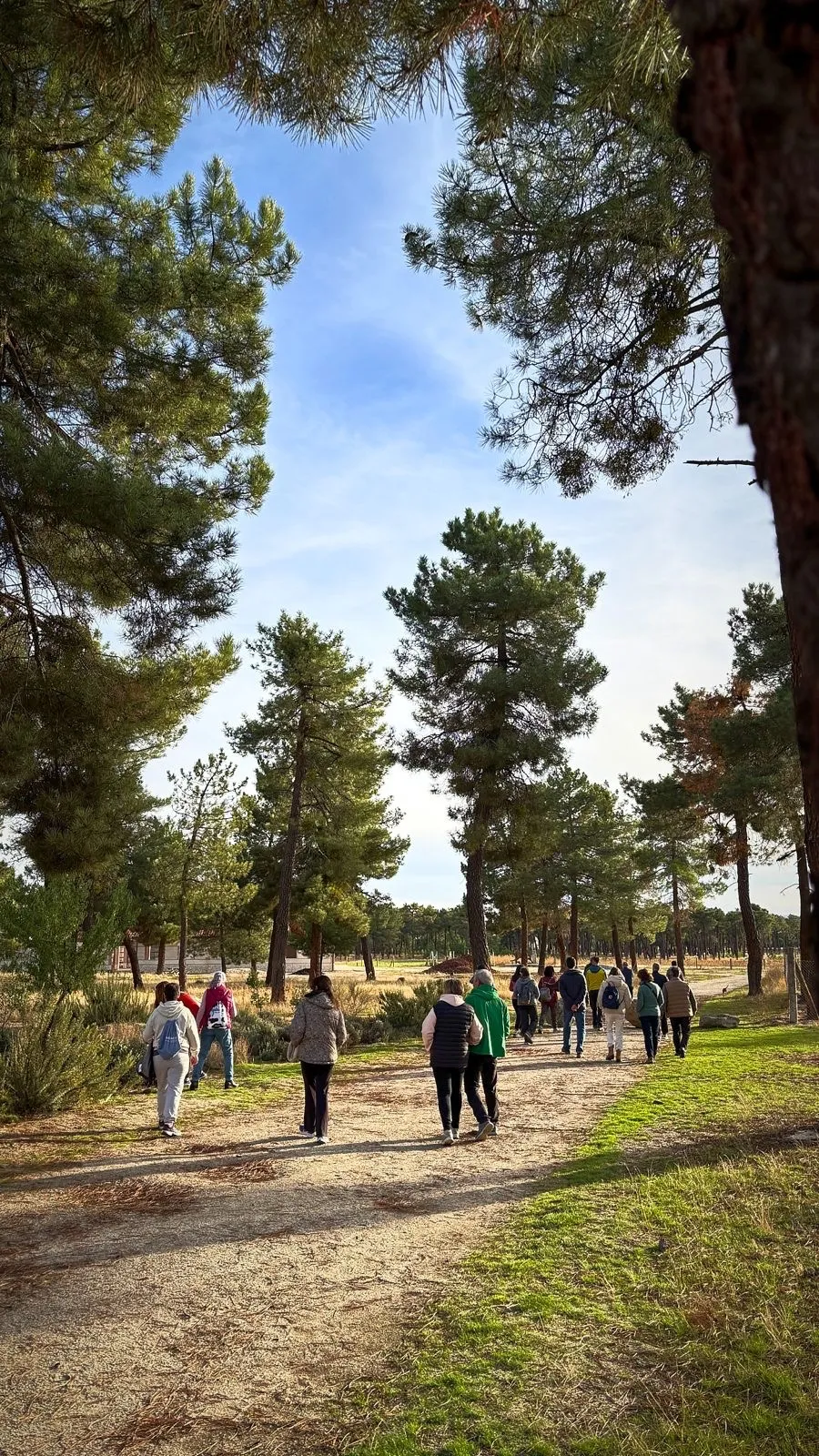 Foto 10 - Pe&ntilde;aranda apuesta por la salud y el deporte en la naturaleza con una jornada de marcha n&oacute;rdica en El Oso (&Aacute;vila)