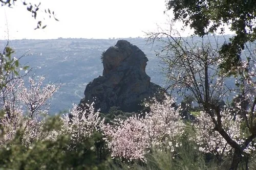 Quesos García Filloy: tres generaciones de excelencia artesana en el corazón de las Arribes
