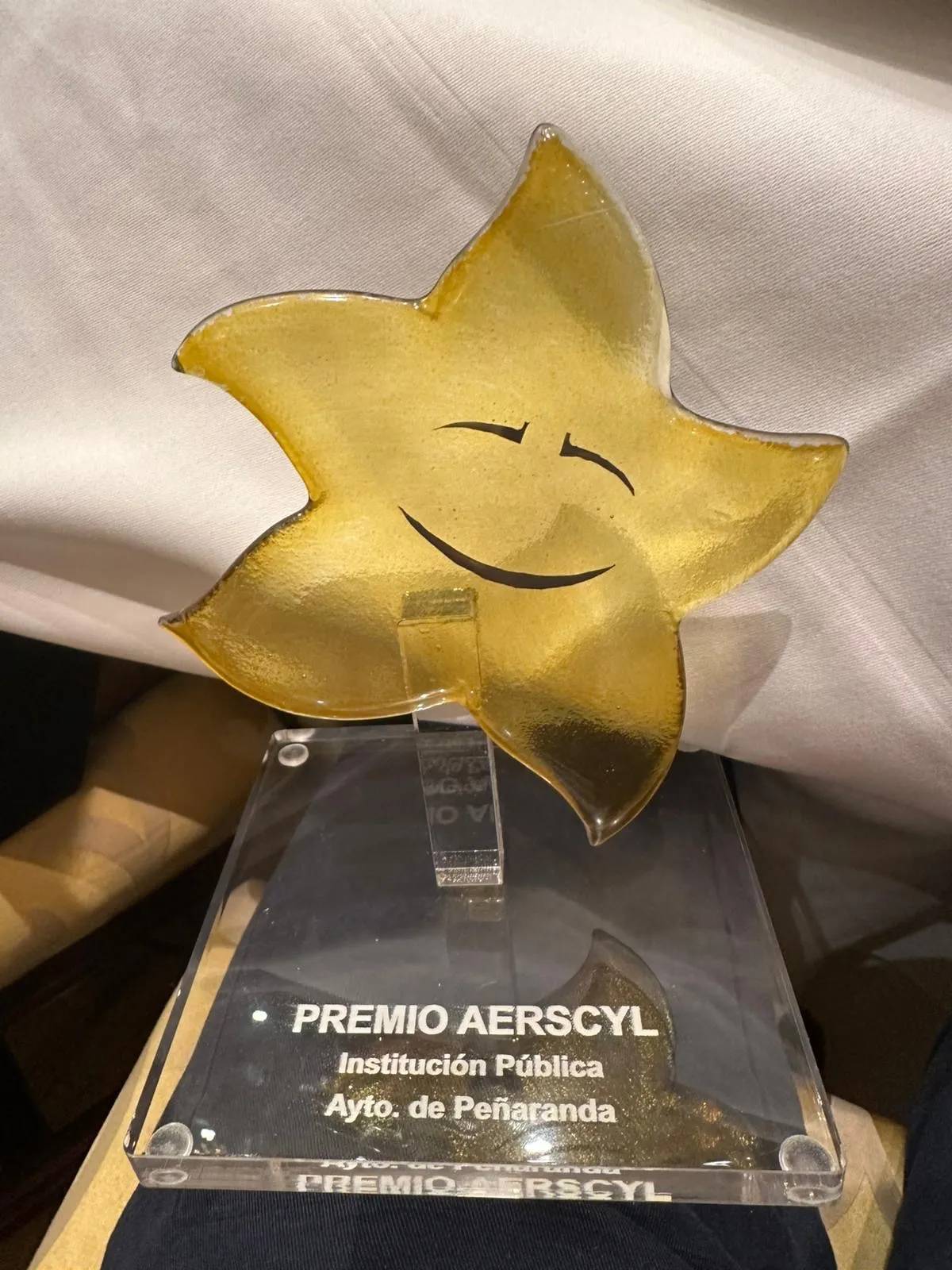 Foto 2 - AERSCyL premia al Ayuntamiento de Pe&ntilde;aranda por su apoyo a la asociaci&oacute;n y la solidaridad