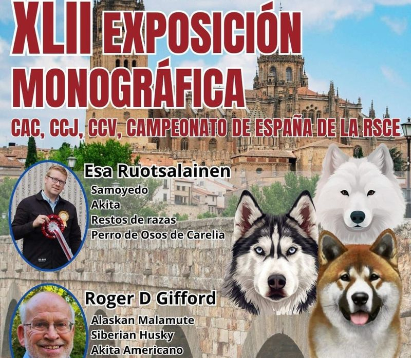 Exposición de perros nórdicos en Salamanca: cita nacional
