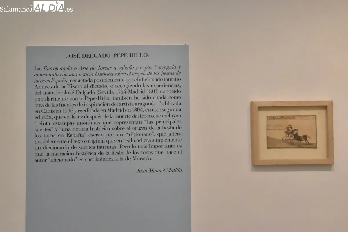 Santa Marta expone 'La Tauromaquia de Goya' hasta marzo de 2026. Foto Vanesa Martins