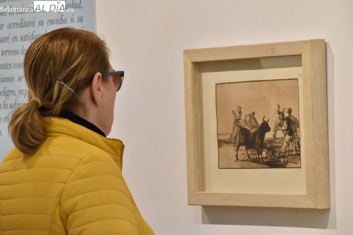 Santa Marta expone La Tauromaquia de Goya hasta marzo de 2026